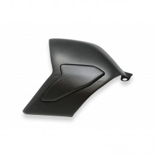 CNC Racing Carbon Fiber Swingarm Cover for Ducati Panigale V4 / S / R / Speciale CNC Racing Carbon Fiber Swingarm Cover for Ducati Panigale V4 / S / R / Speciale